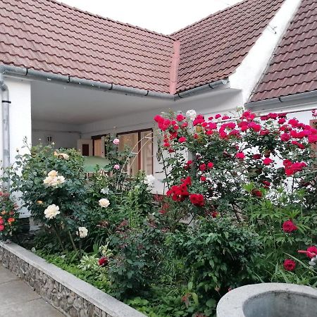 Hotel Pensiunea Spack Cristian  Exteriér fotografie